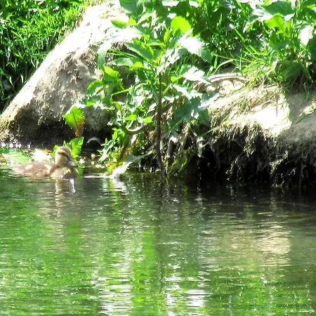 La Rive Bleue *