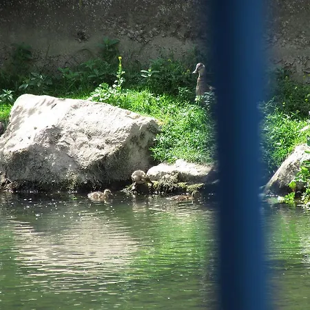 La Rive Bleue *